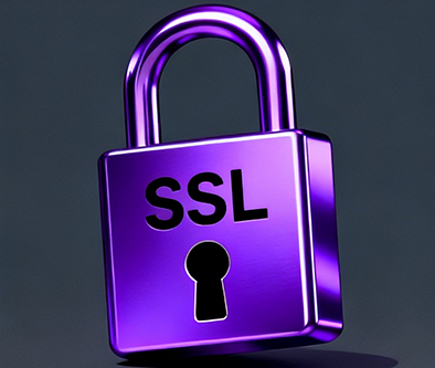 使用SSL证书，确保网站数据传输的安全性